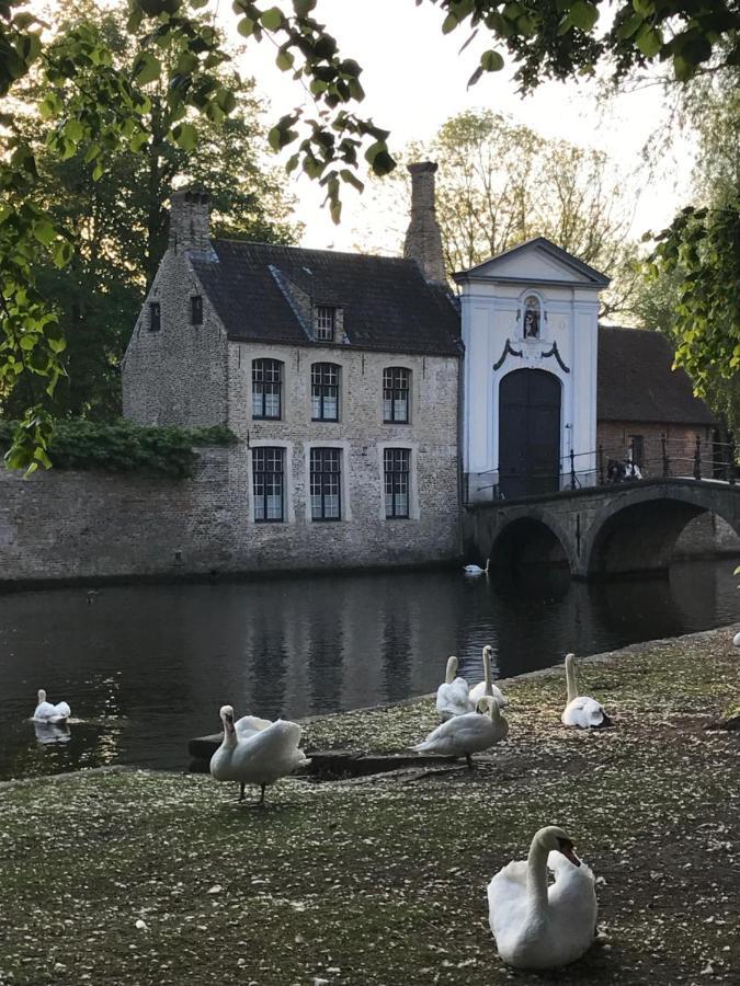 The Bank 1869 - Unique Guestrooms In The Historic Center Of Brugge Kültér fotó